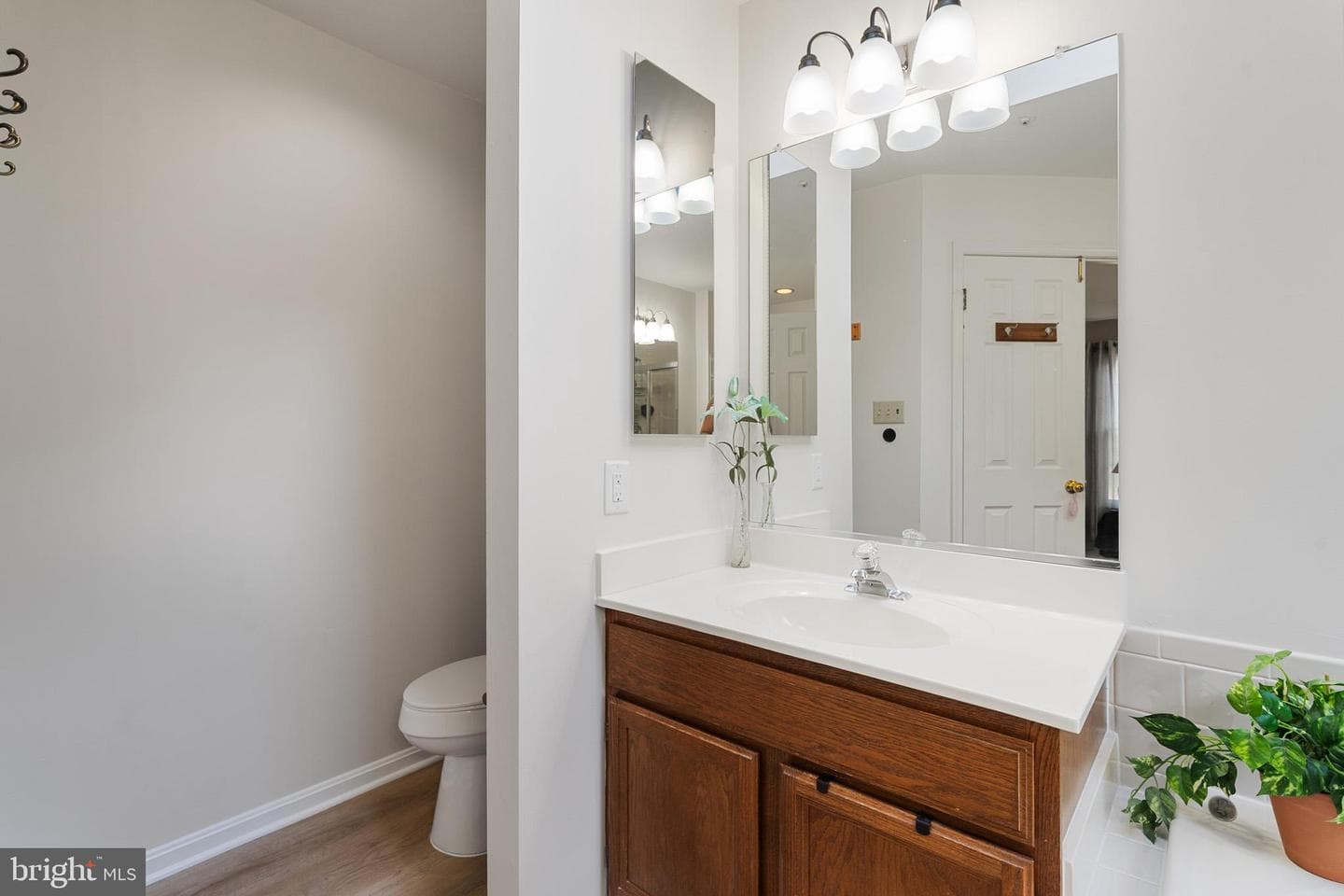 7001 Chain Fern Court photo 42
