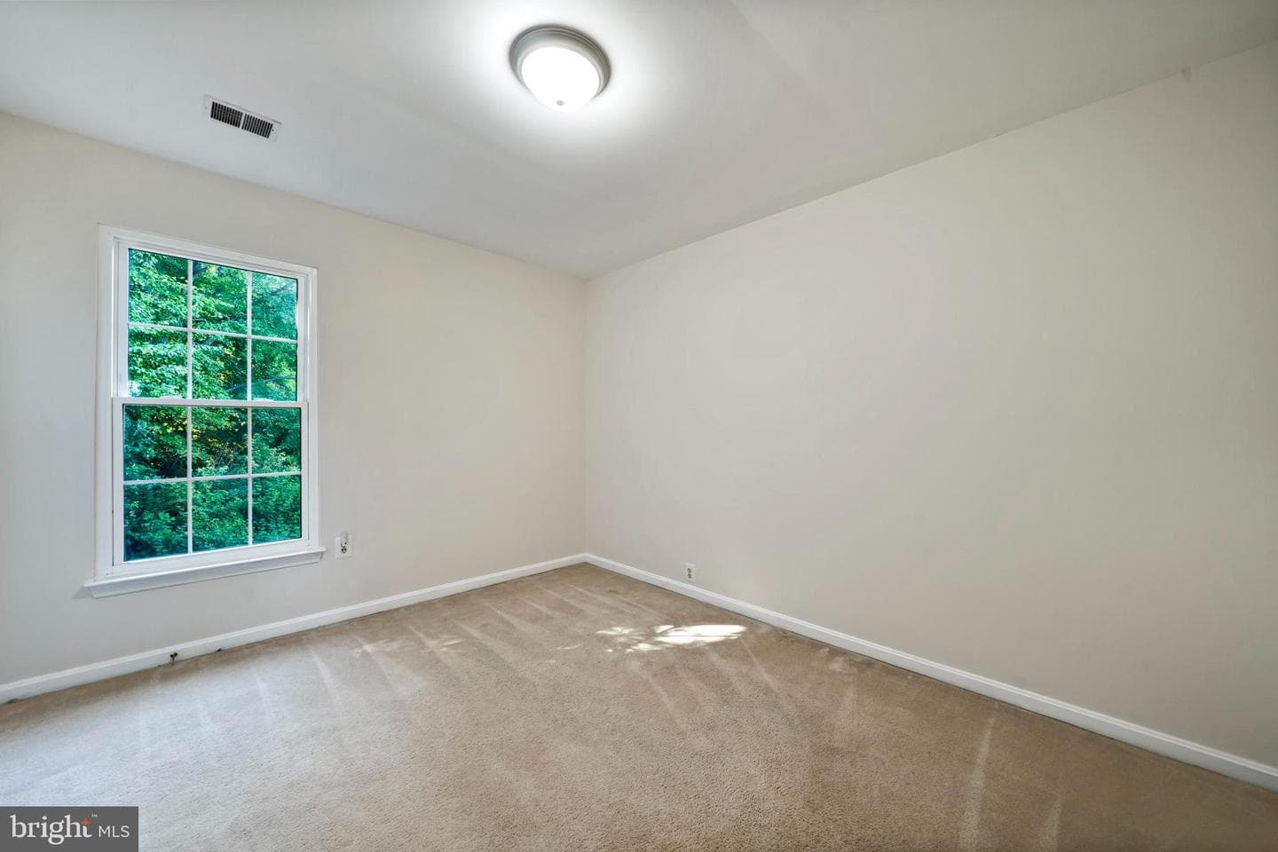 7001 Chain Fern Court photo 45