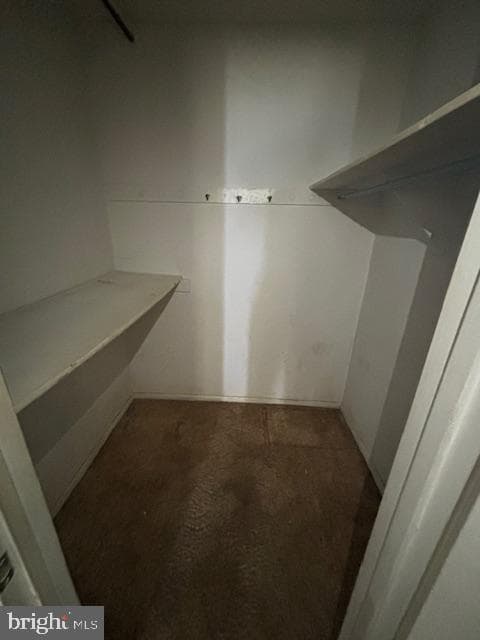 2311 Olson Street #102 photo 7