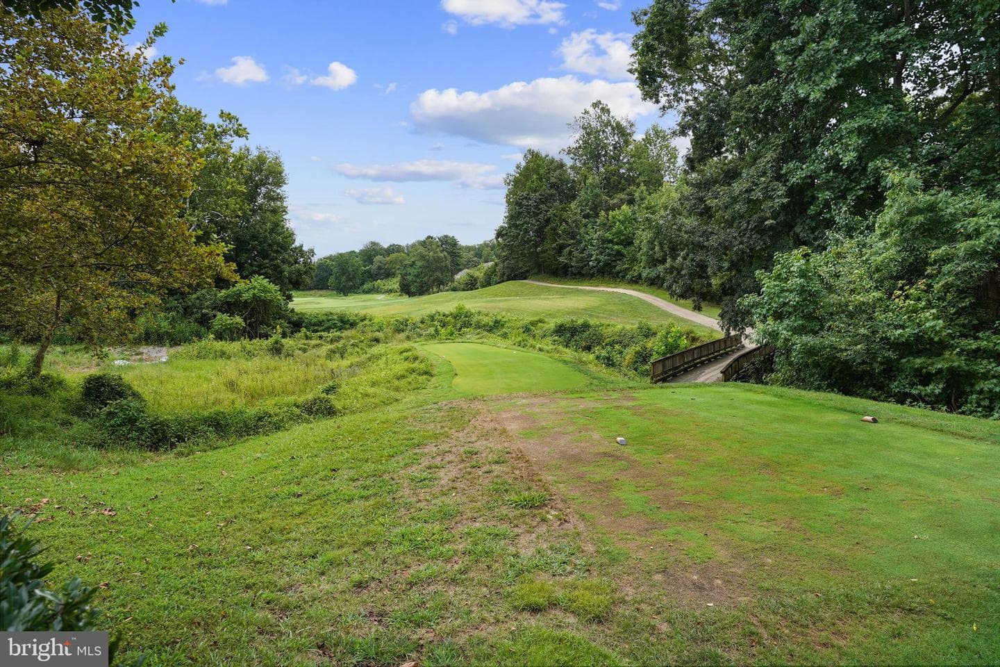 15418 Finchingfield Way photo 45