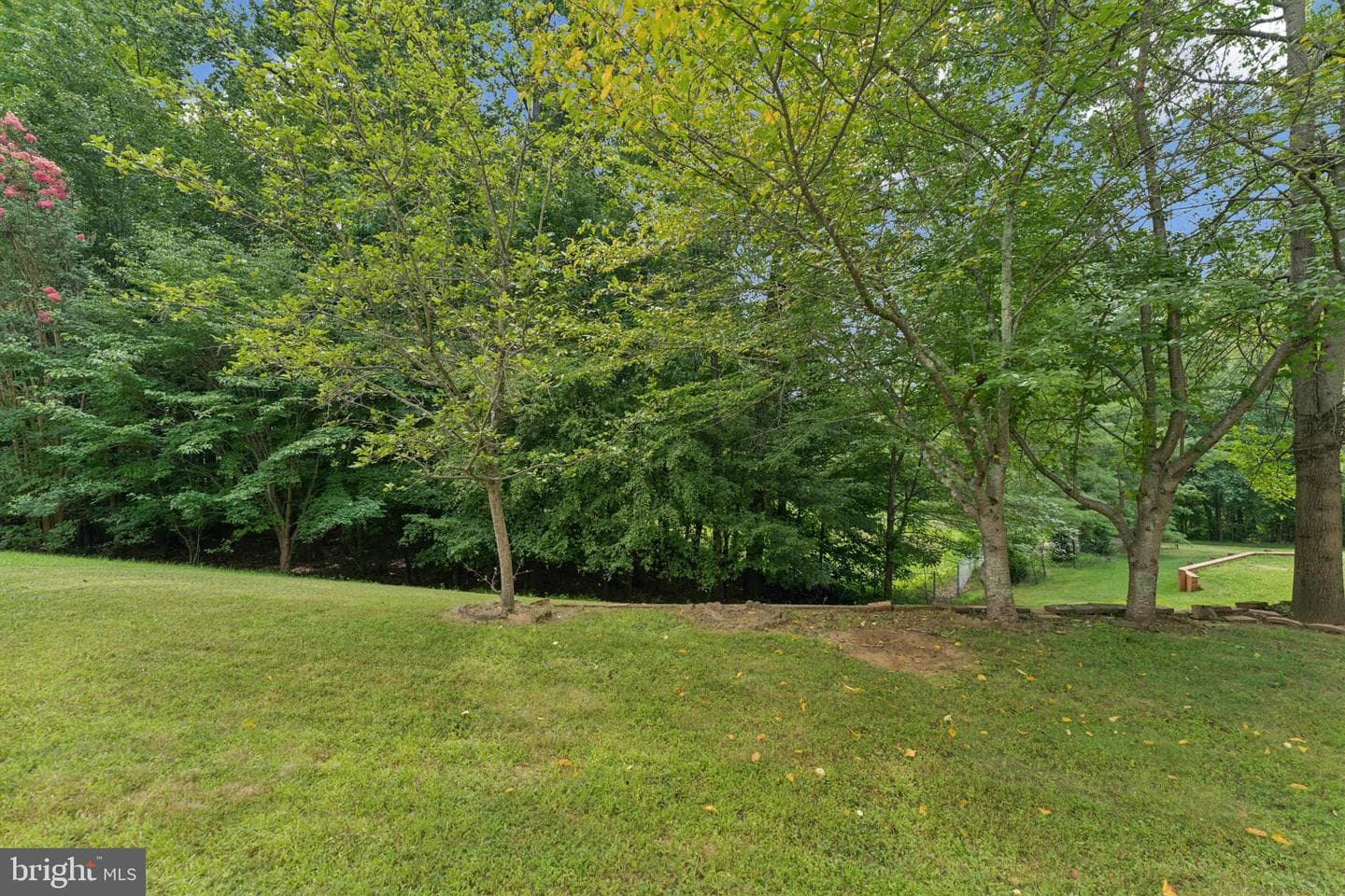 12303 Marleigh Drive photo 37