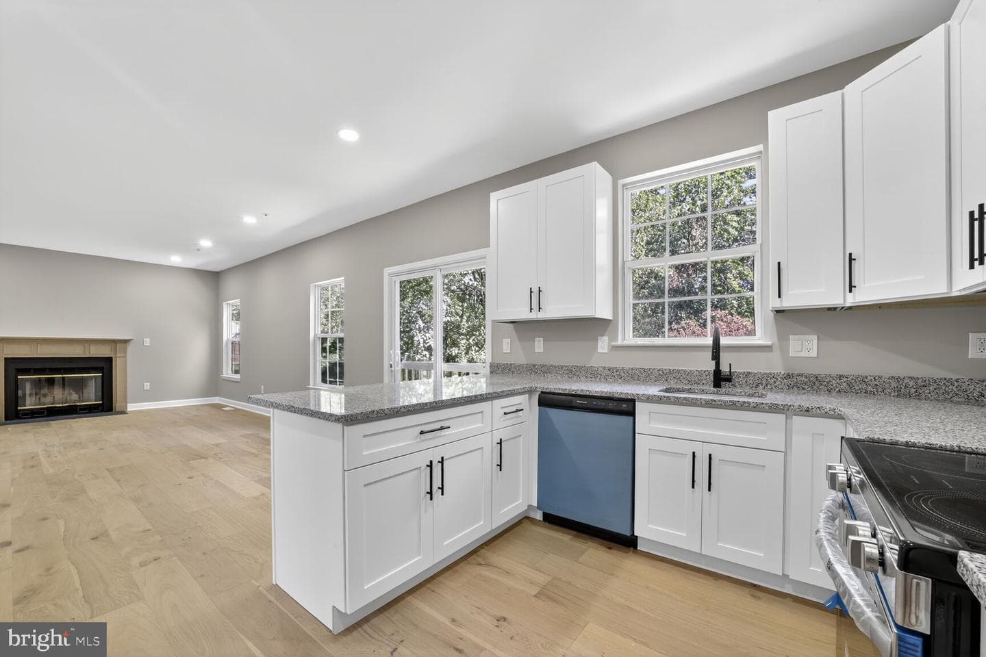 1015 Consideration Lane photo 10