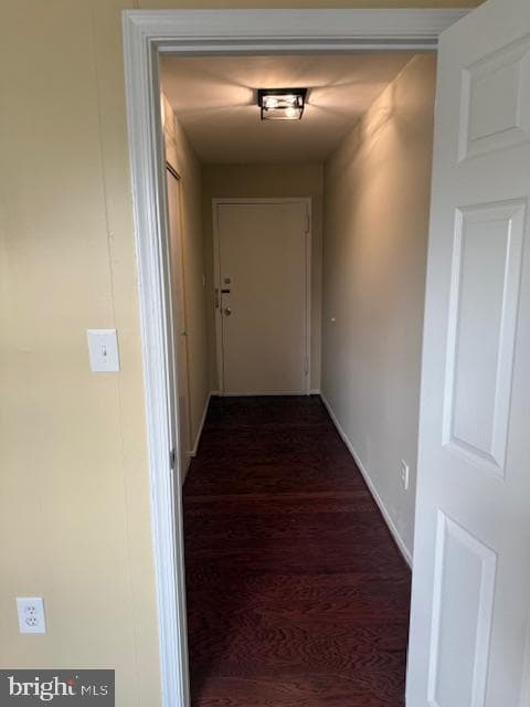4501 Romlon Street #103 photo 3