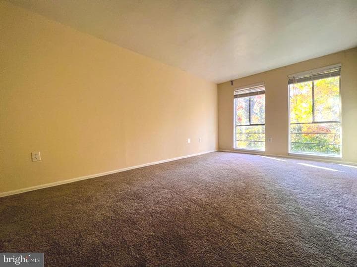 5217 Newton Street #102 photo 13