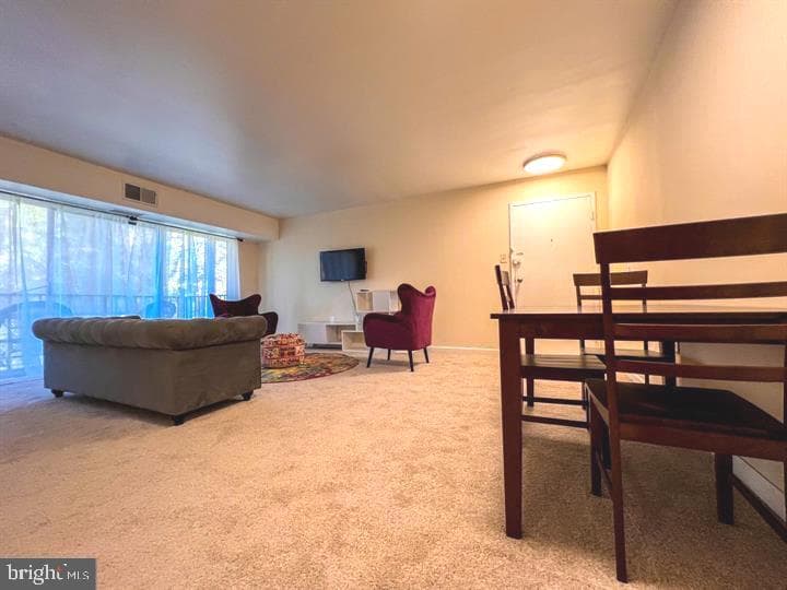 5217 Newton Street #102 photo 6