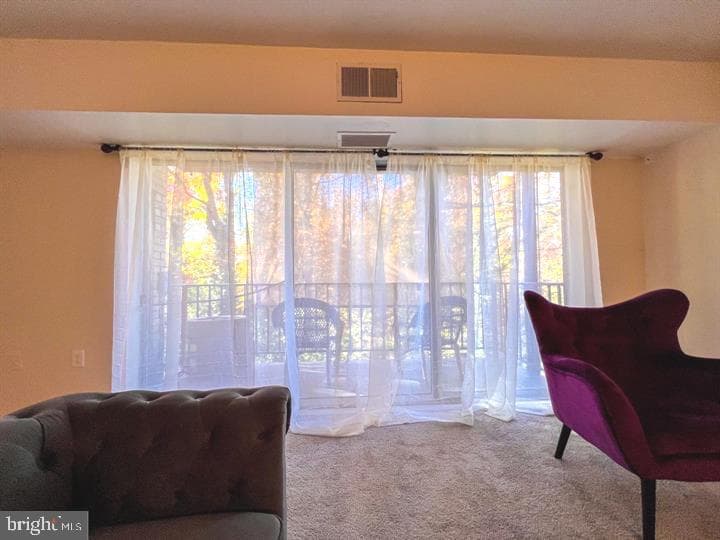 5217 Newton Street #102 photo 9