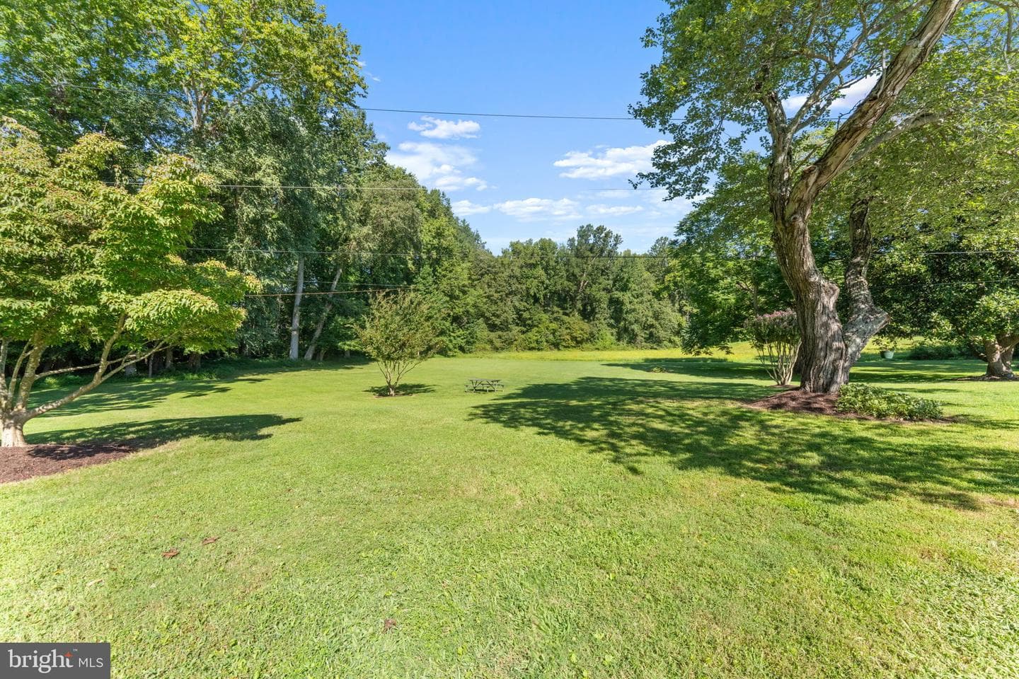 11401 Croom Road photo 43