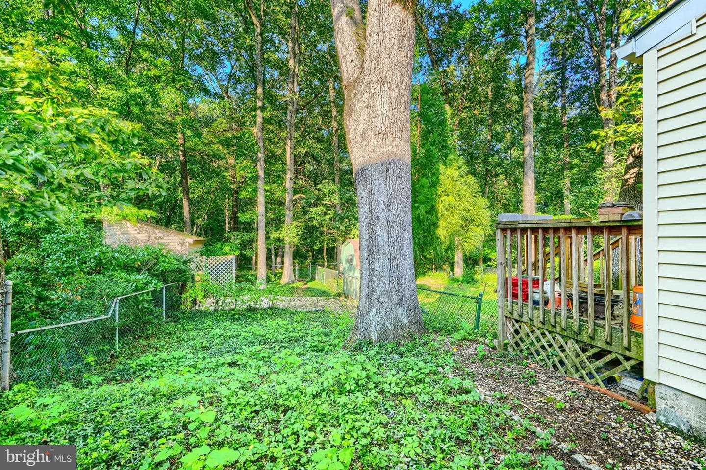58 Ridge Road photo 31