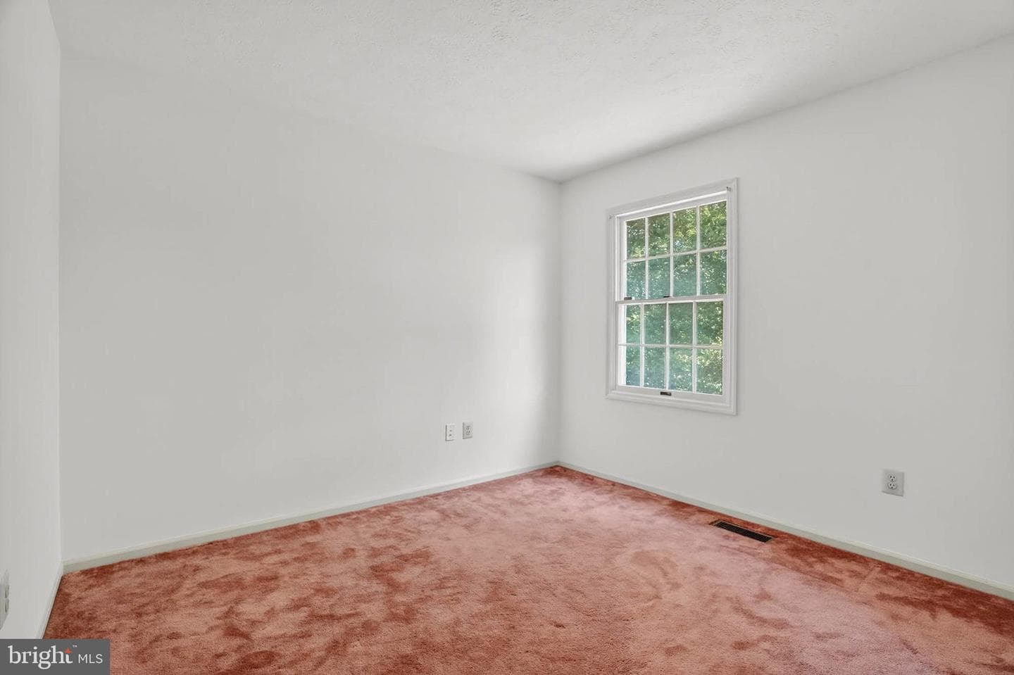 11035 Spyglass Hill Court photo 28