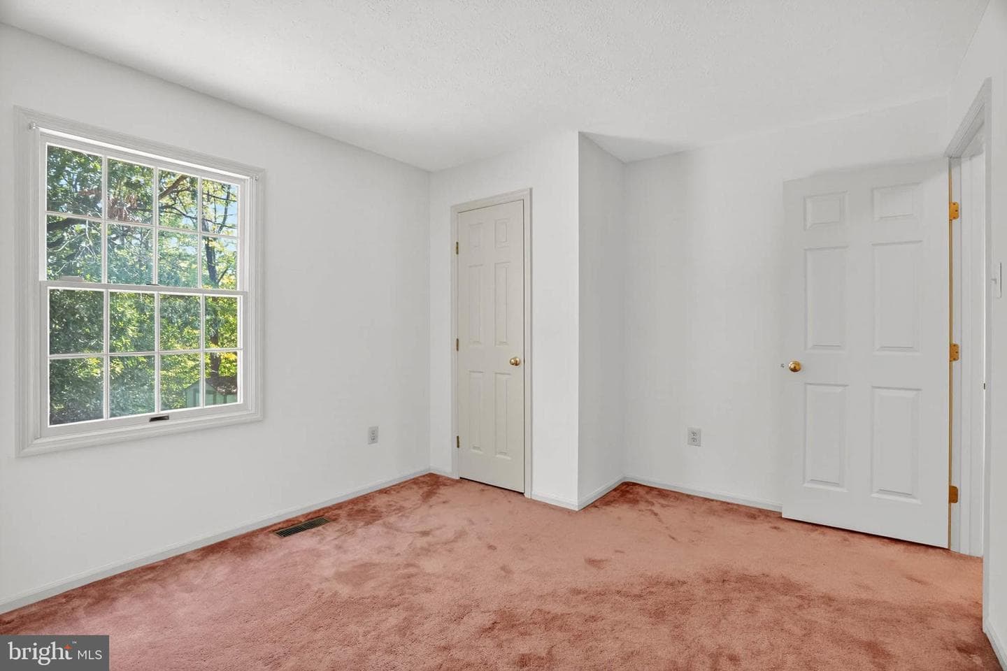 11035 Spyglass Hill Court photo 29