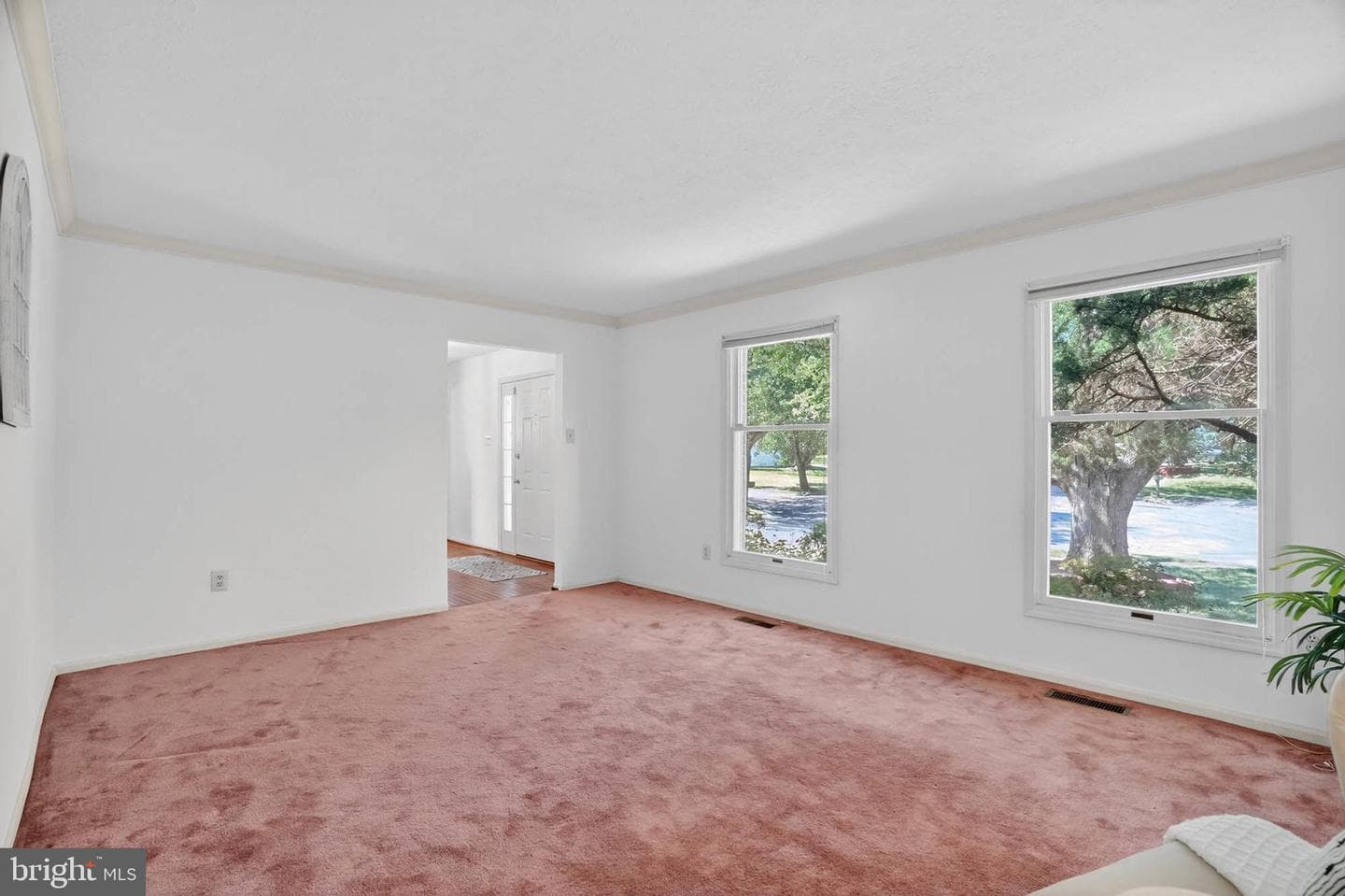 11035 Spyglass Hill Court photo 6