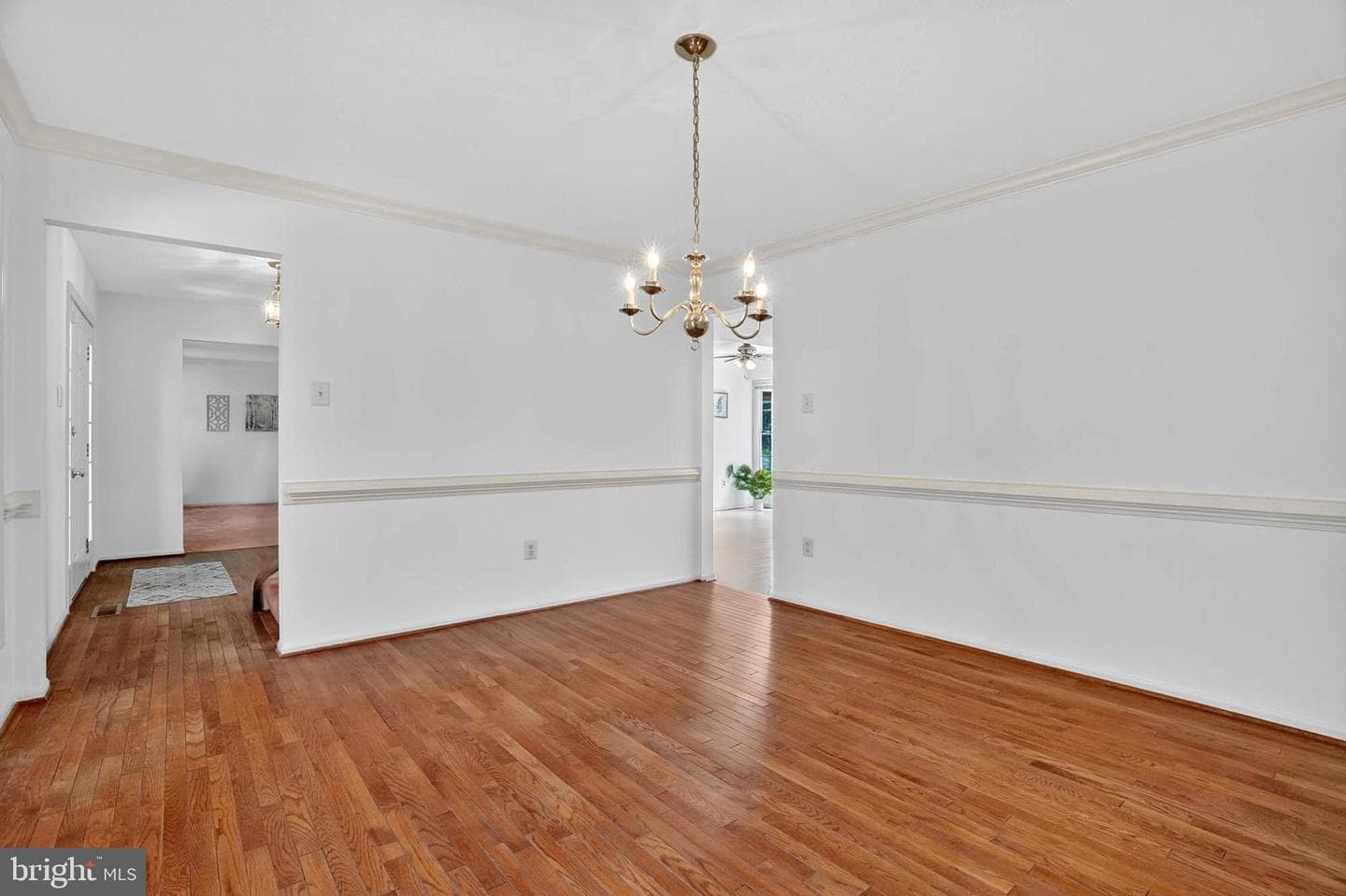 11035 Spyglass Hill Court photo 8