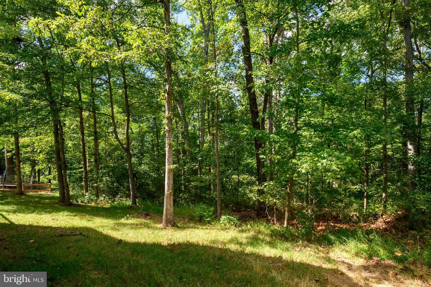 8424 Oak Stream Drive photo 50