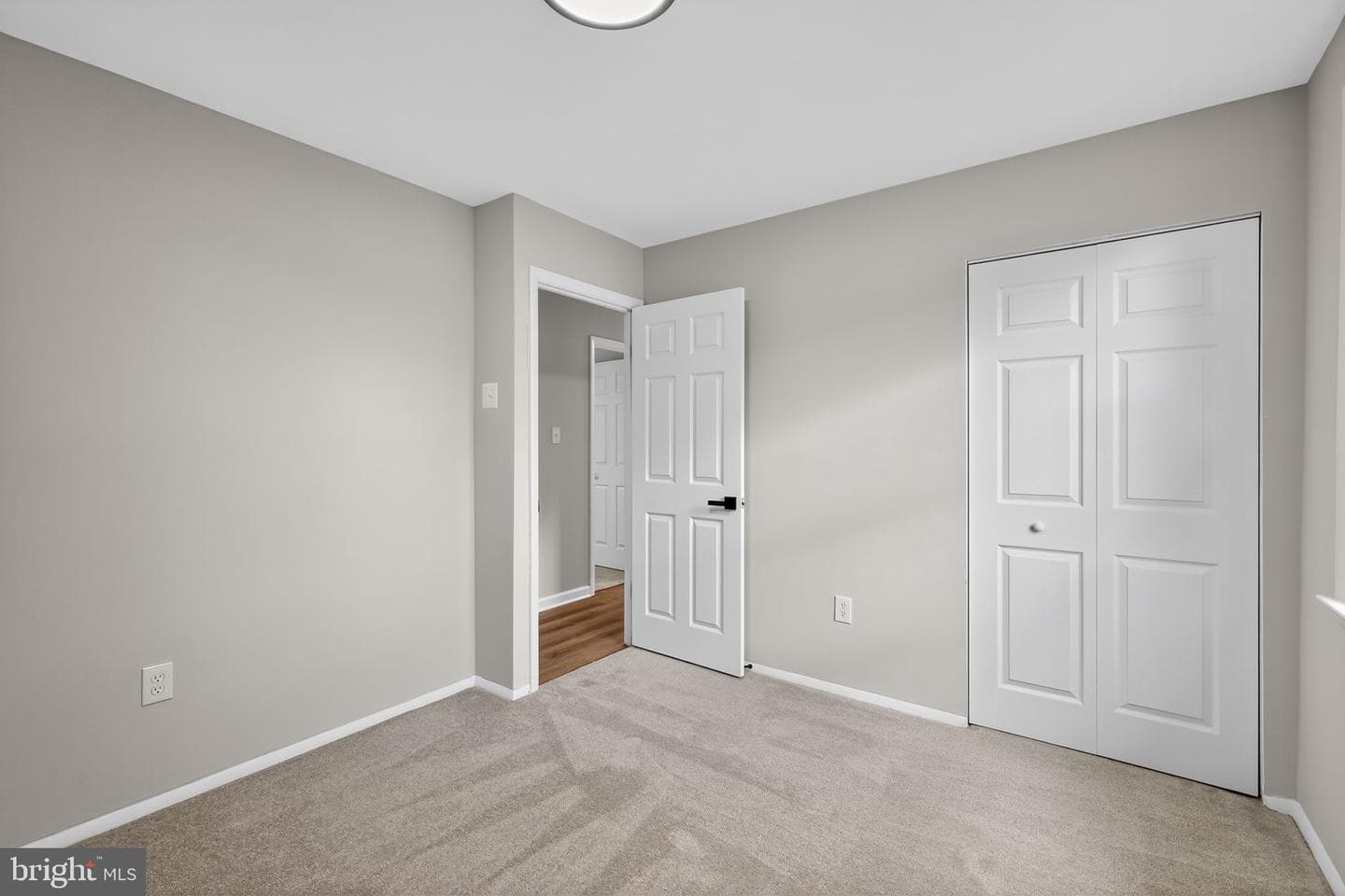 7410 Roanne Drive photo 18