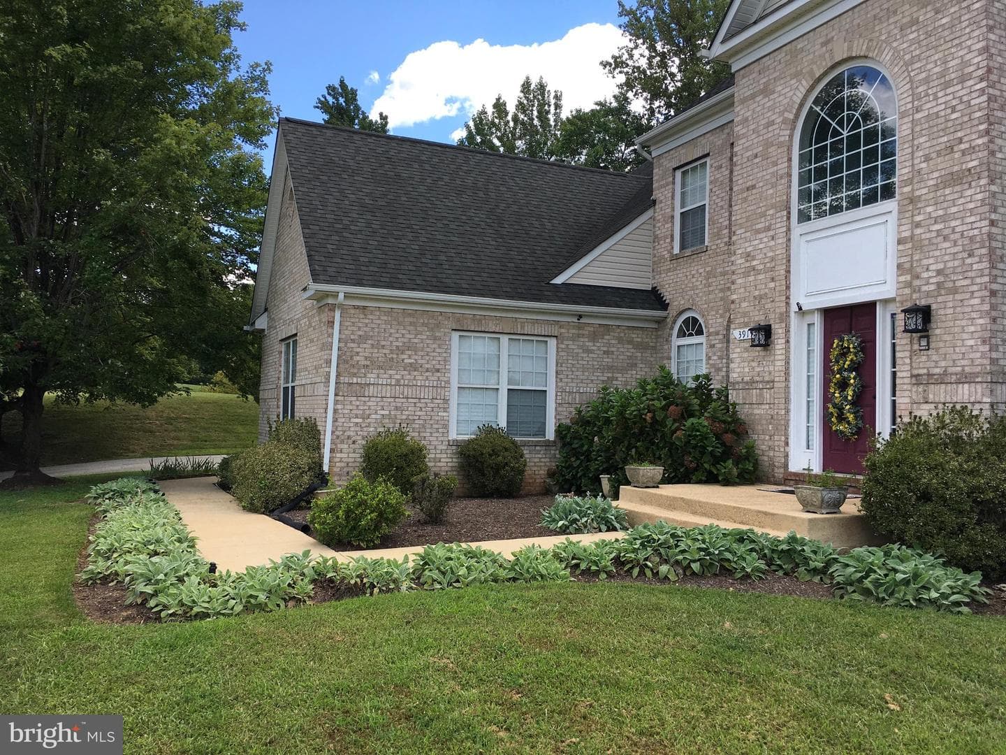 3919 Woodreed Drive photo 3