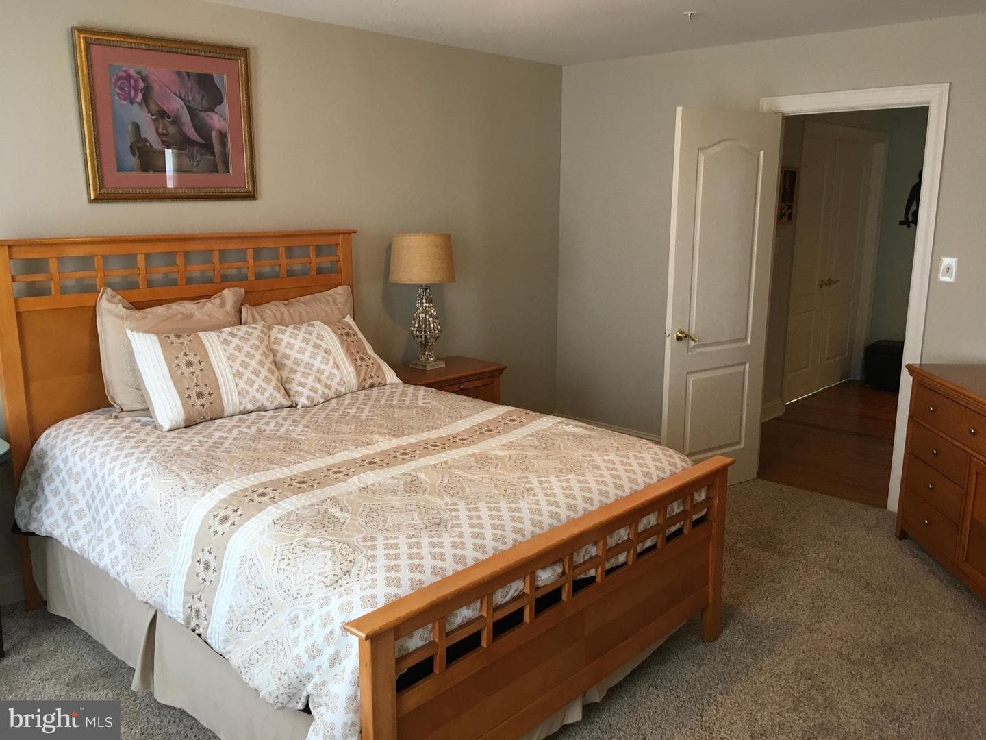 3919 Woodreed Drive photo 40