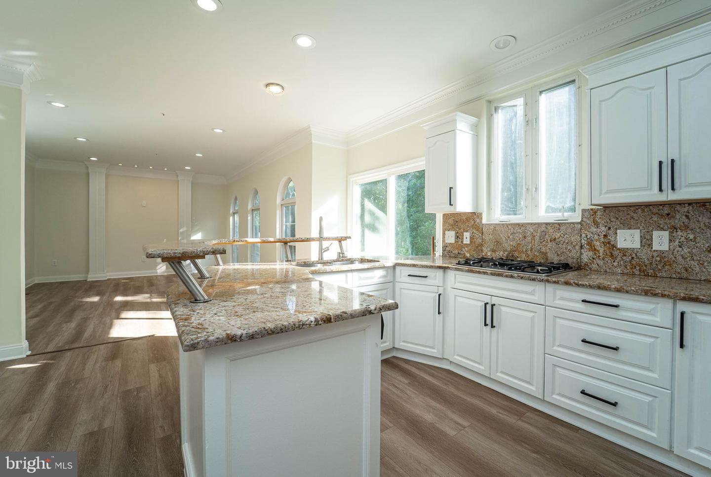 1414 Canadien Geese Court photo 11