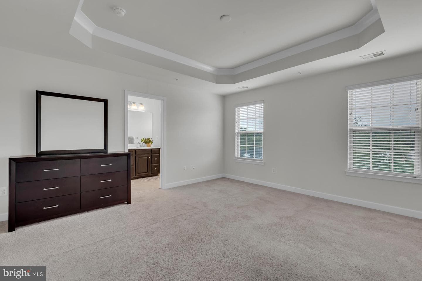 10507 Richmond Irving Court photo 30
