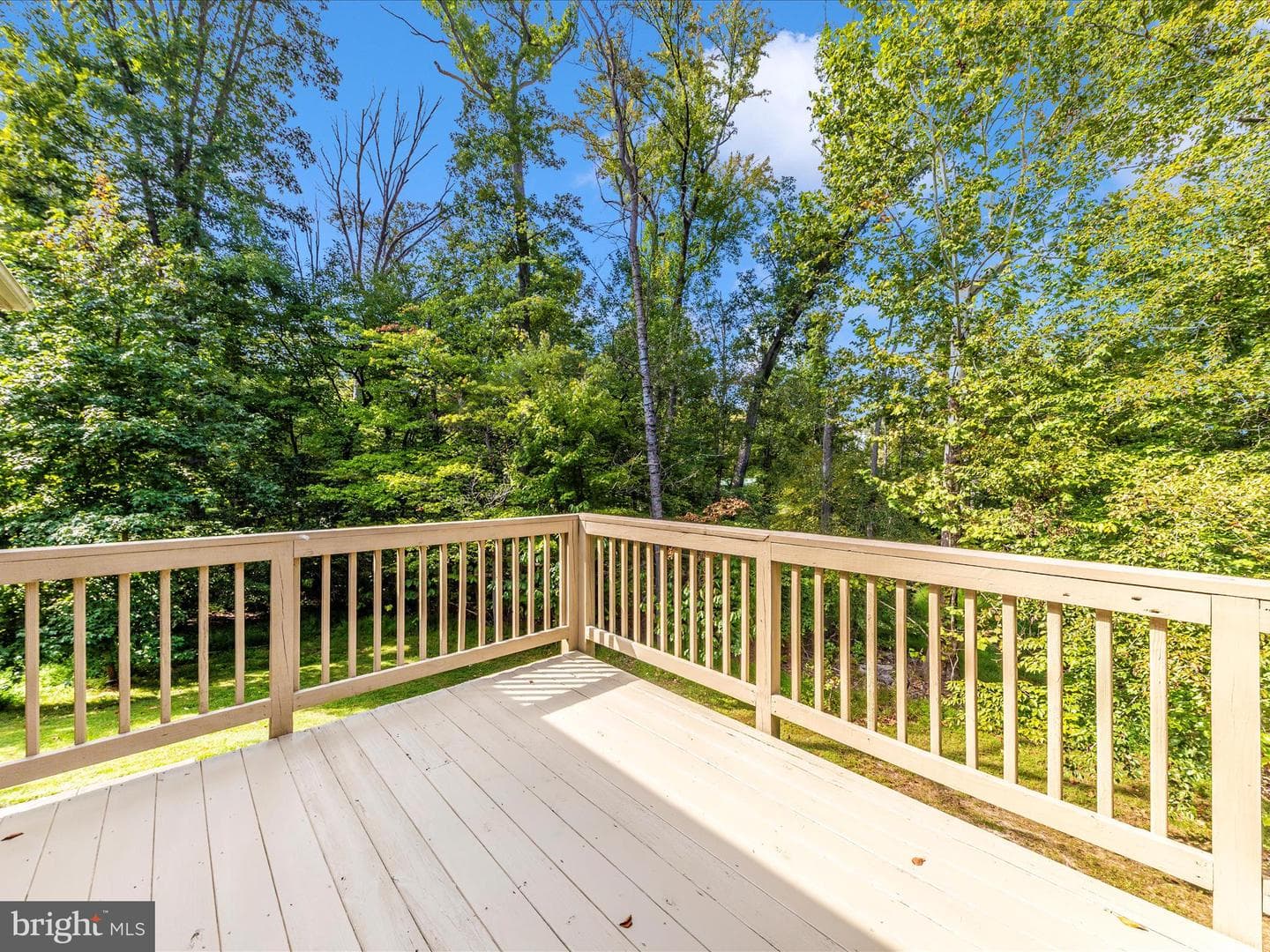 12801 Lost Lake Circle photo 51