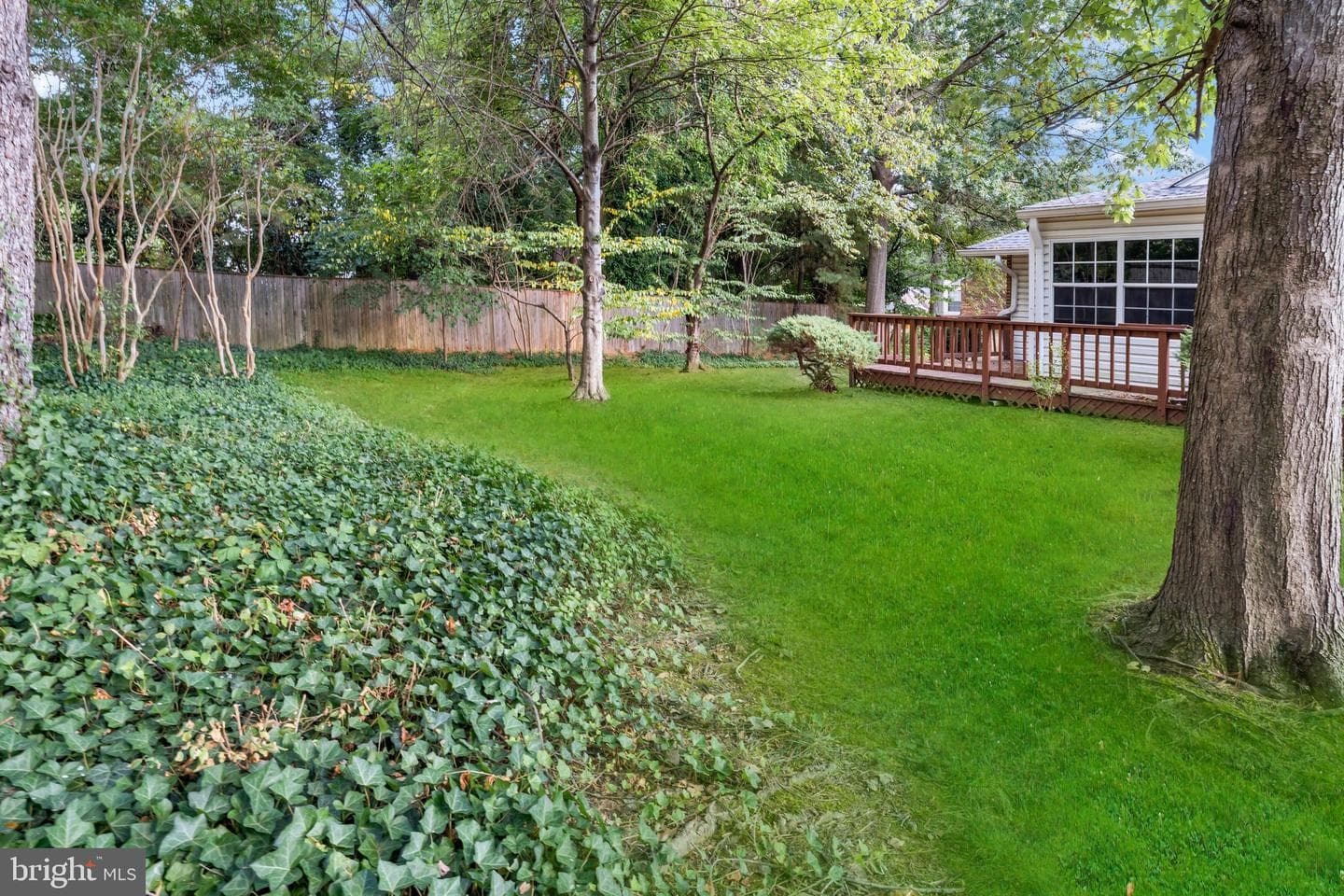 9266 Cherry Lane #51 photo 23