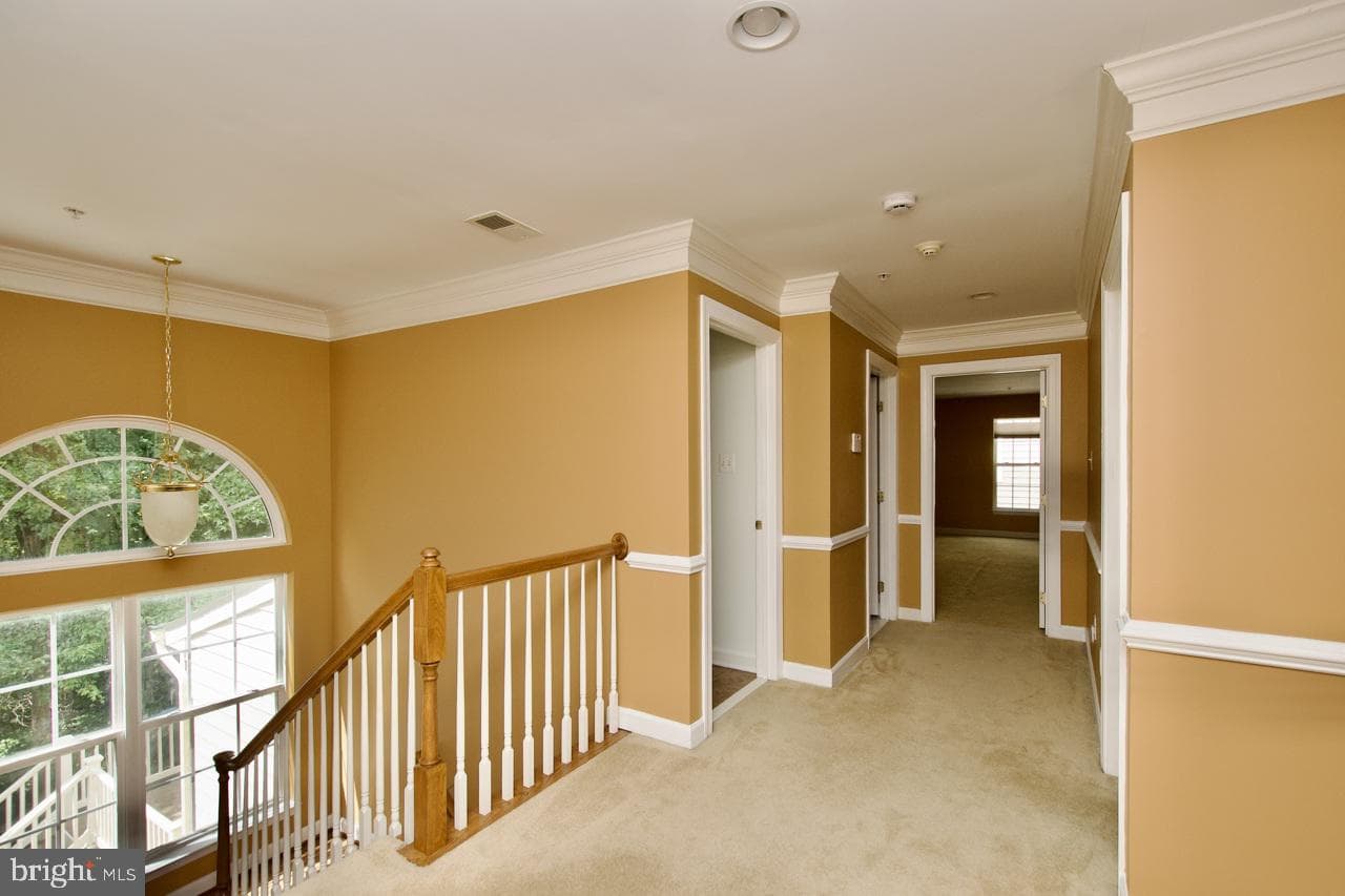 15625 Copper Beech Drive photo 20