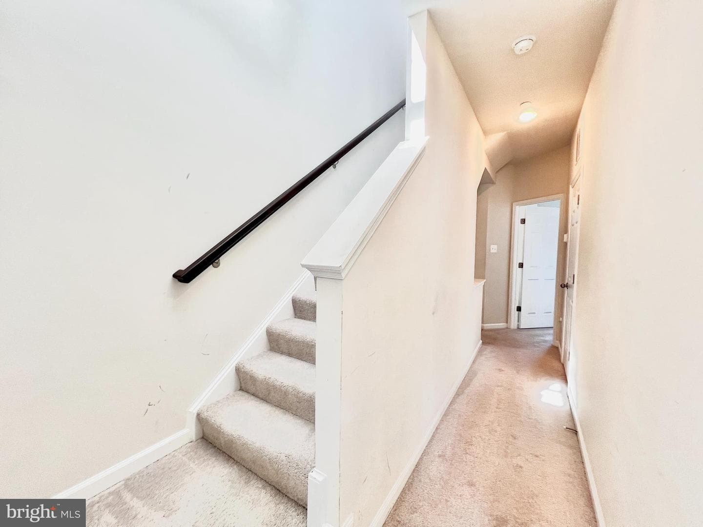 12509 Honey Locust Way photo 45