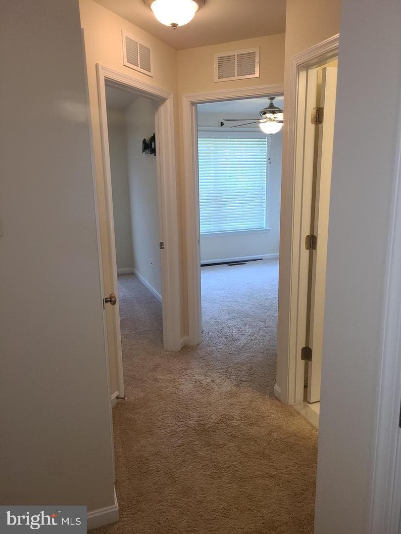 15418 Lady Lauren Lane photo 34