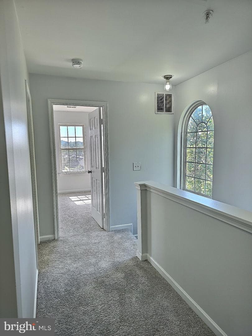 7001 Migliori Court photo 25