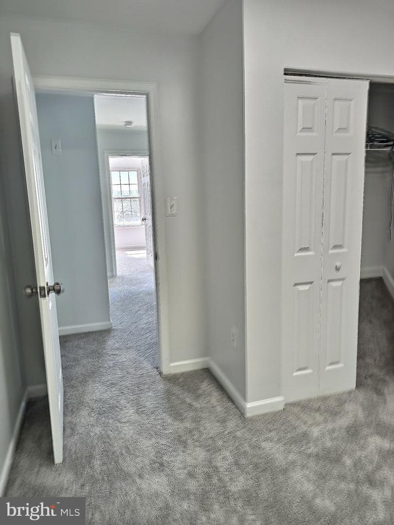 7001 Migliori Court photo 31
