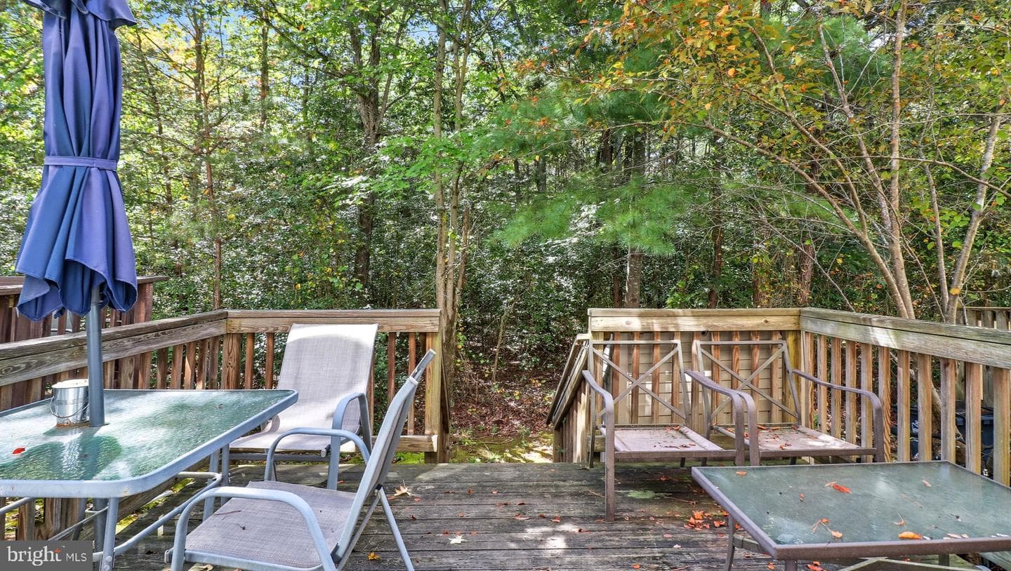 15625 Birmingham Circle photo 46