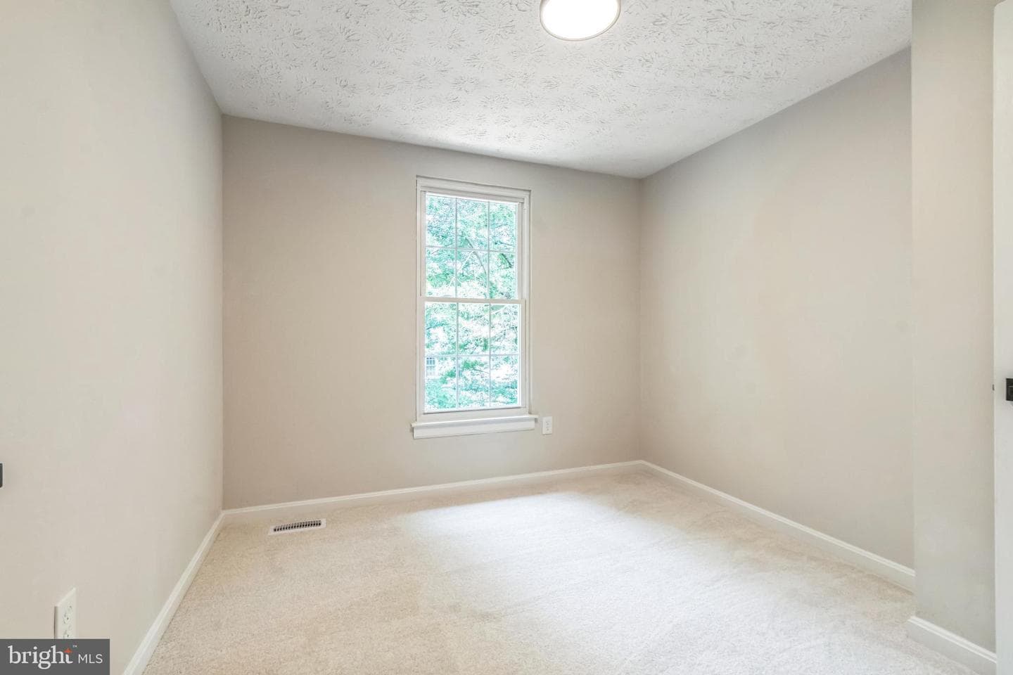 442 Shady Glen Road photo 5