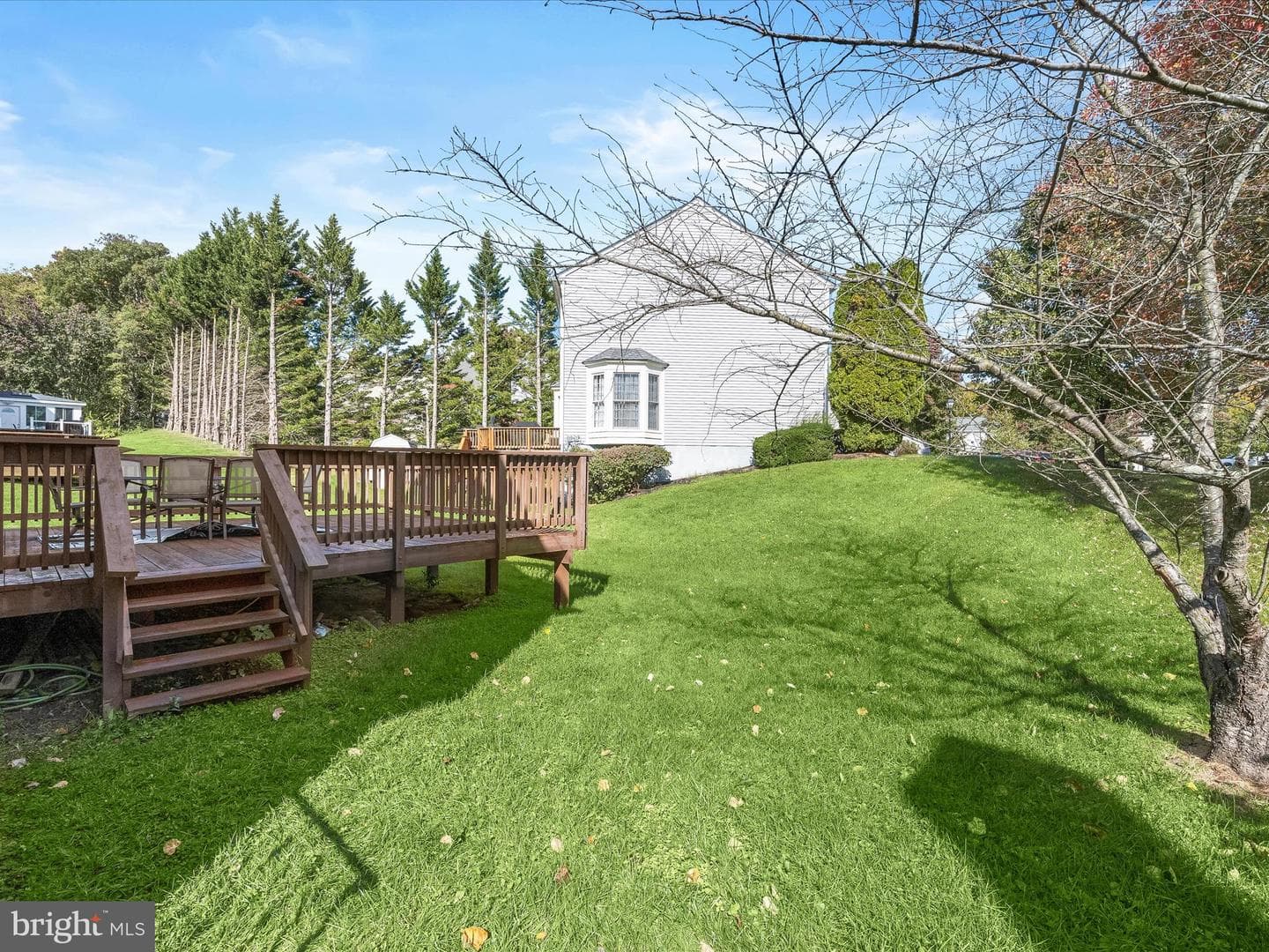8806 Admiral Drive photo 55