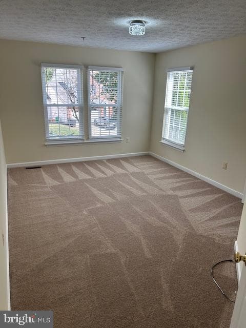 10103 Juniper Drive photo 11