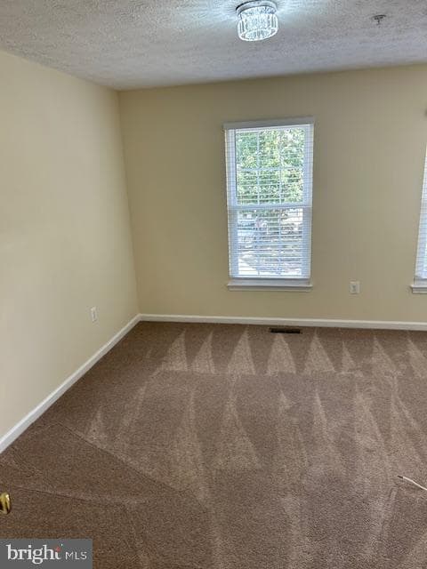 10103 Juniper Drive photo 12