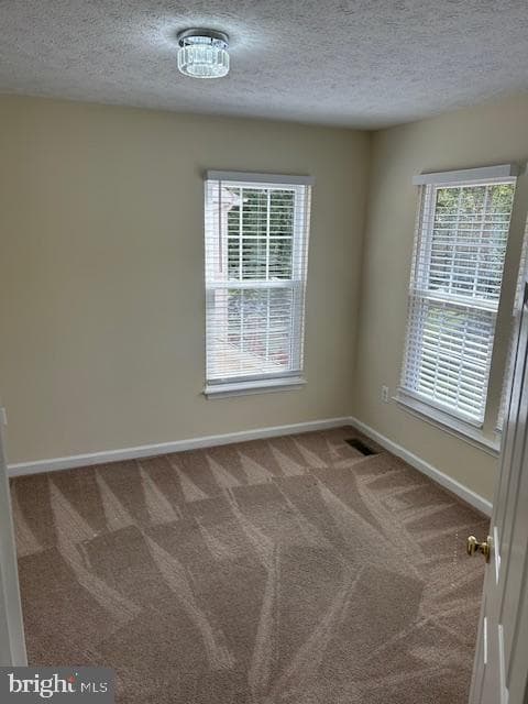10103 Juniper Drive photo 24