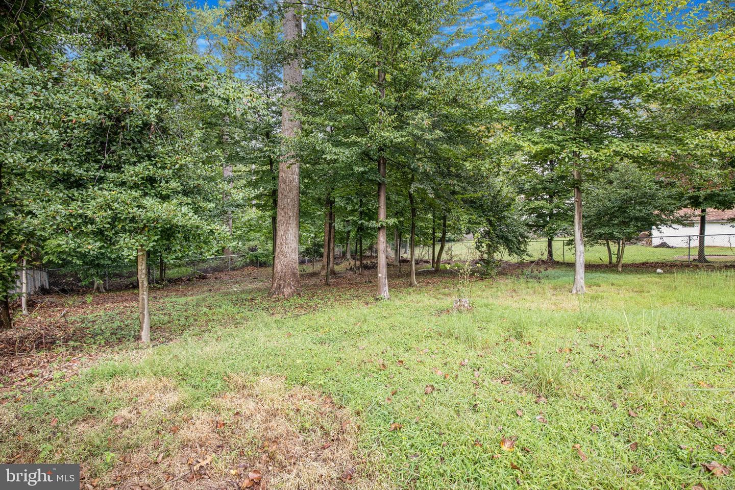 804 Cascade Drive photo 48