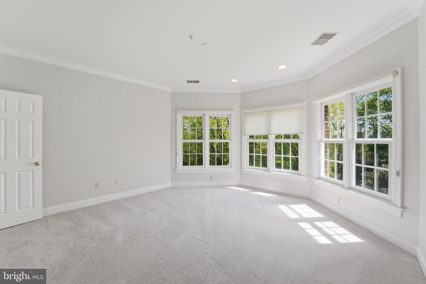 12705 Longwater Drive photo 47