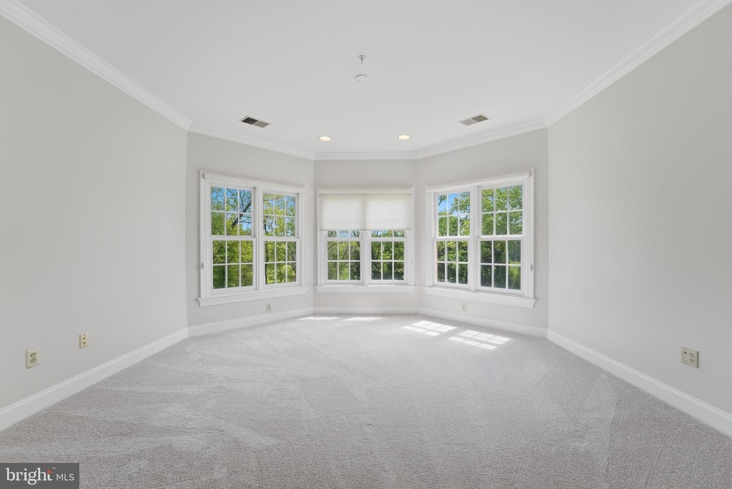 12705 Longwater Drive photo 48