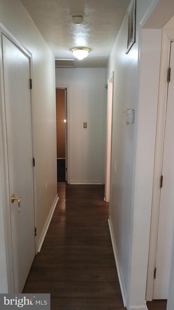 6208 Teaberry Way photo 7