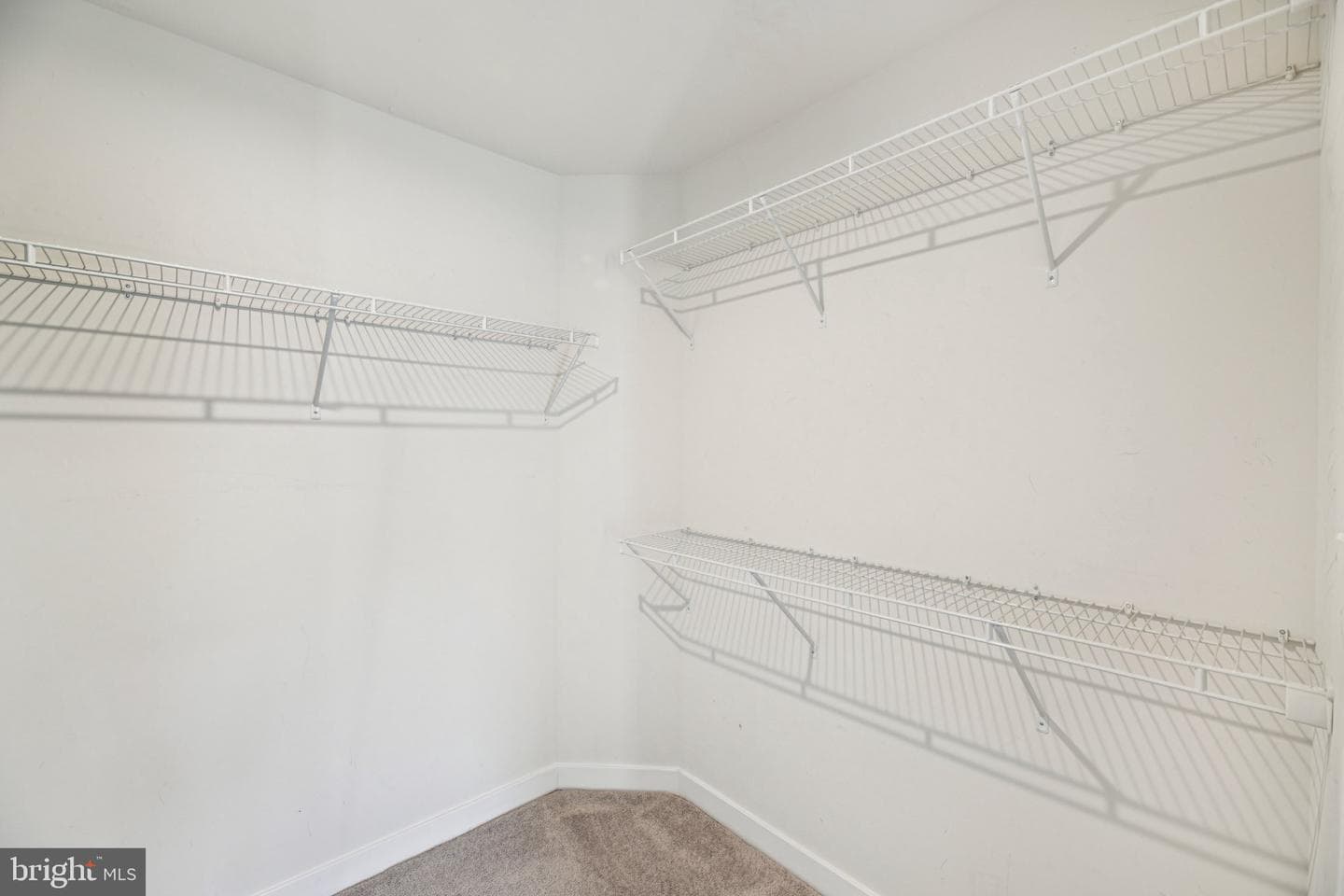 5803 Richmanor Terrace photo 16