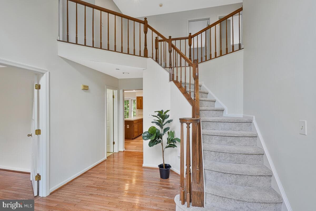 1811 Catherine Fran Drive photo 3