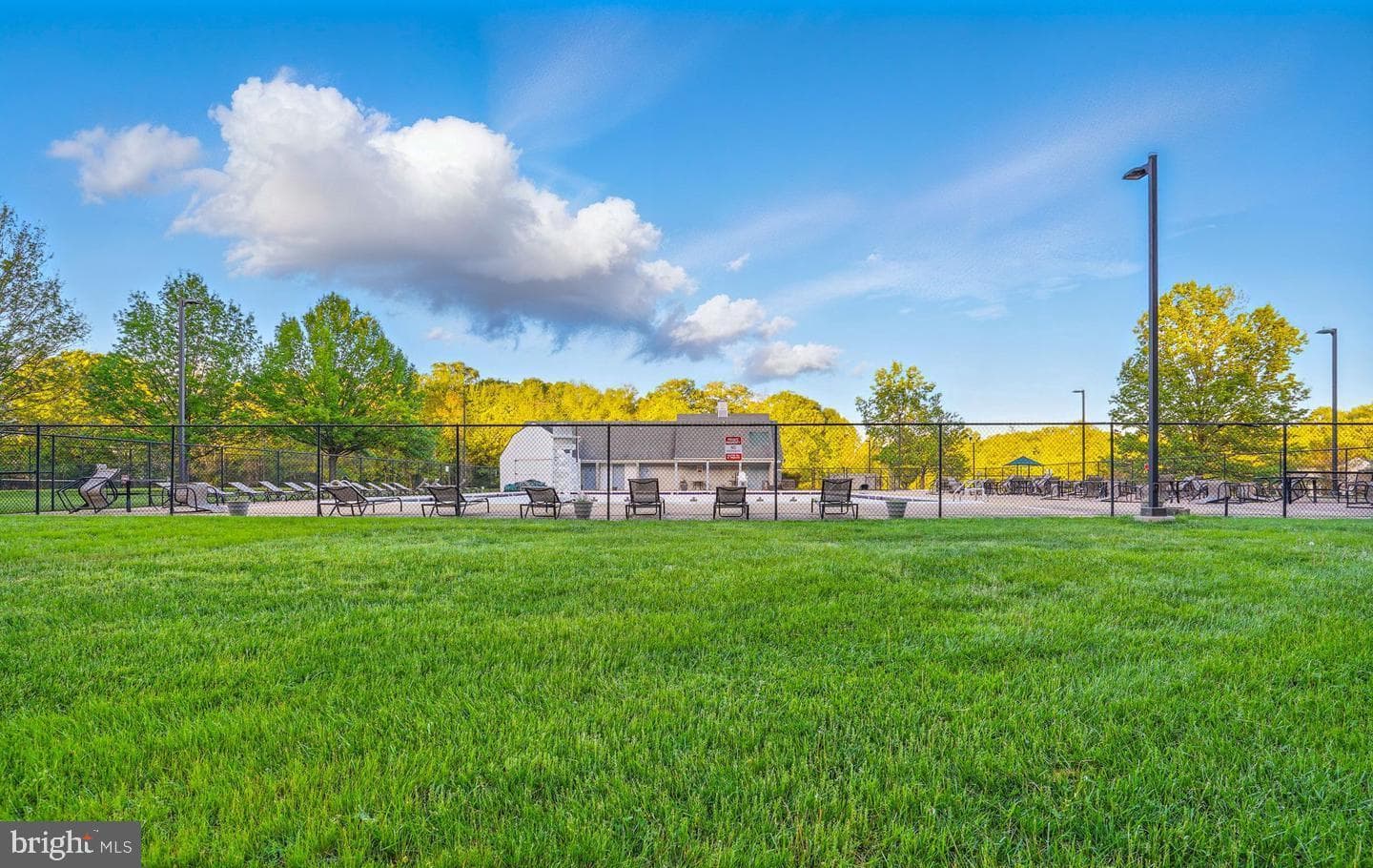1811 Catherine Fran Drive photo 58