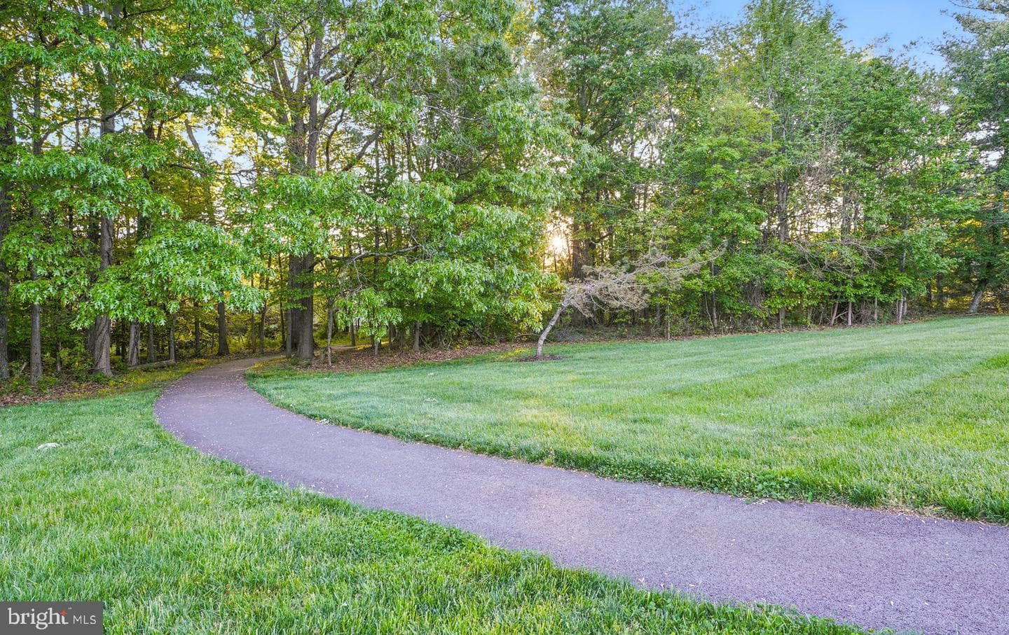 1811 Catherine Fran Drive photo 59