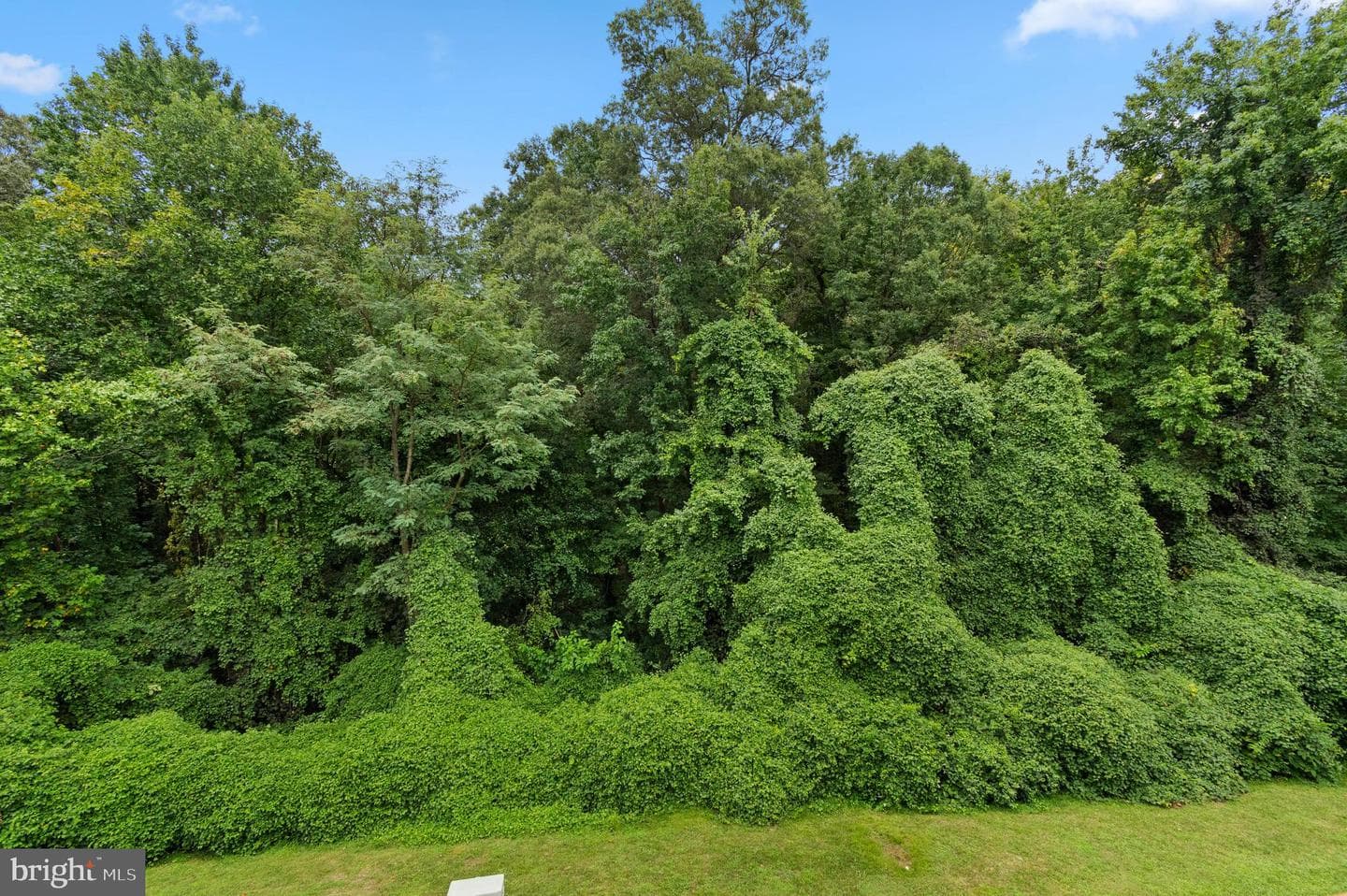 4413 Blue Heron Way photo 28