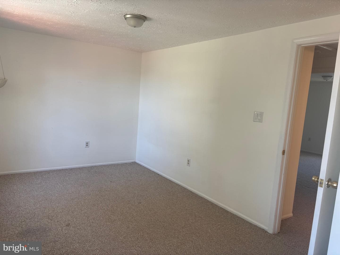 7127 Branchwood Pl photo 3