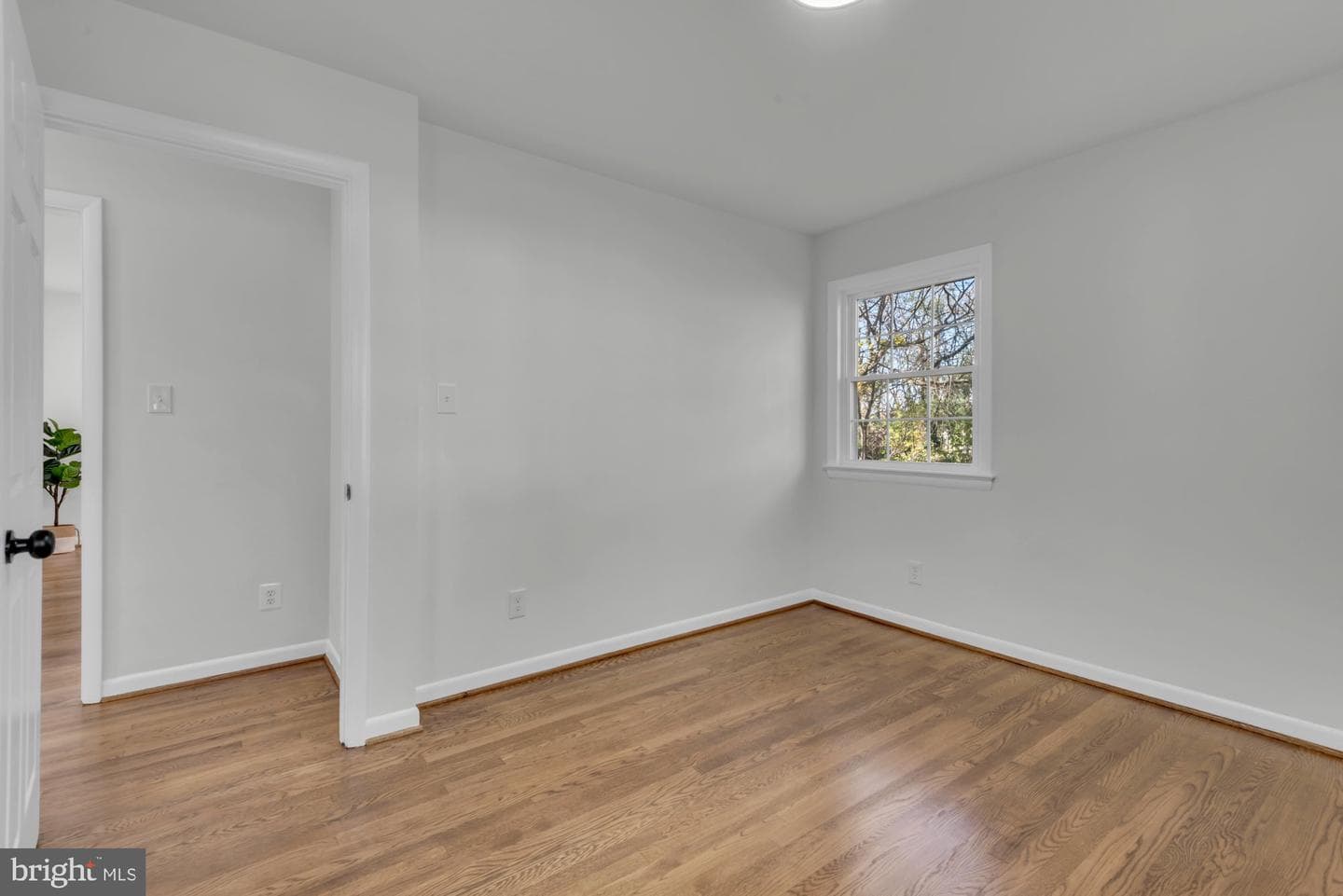 5804 Goucher photo 22