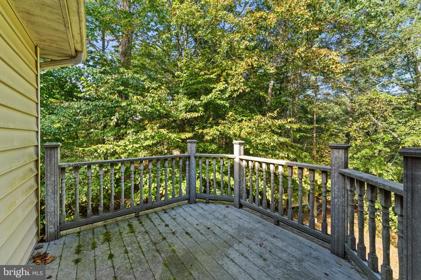 14402 Medwick Road photo 28