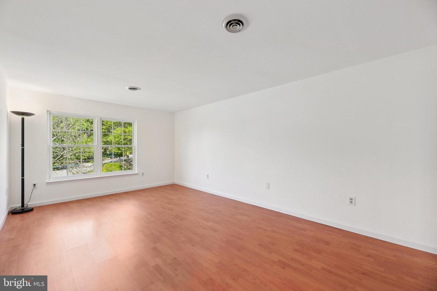 11718 Basswood Drive photo 20