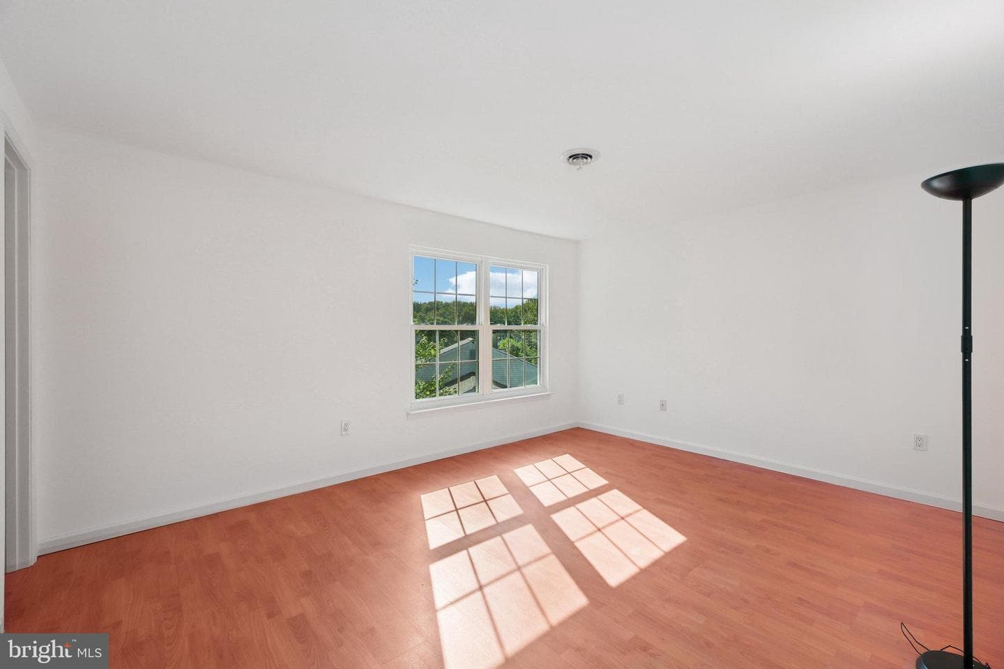 11718 Basswood Drive photo 23