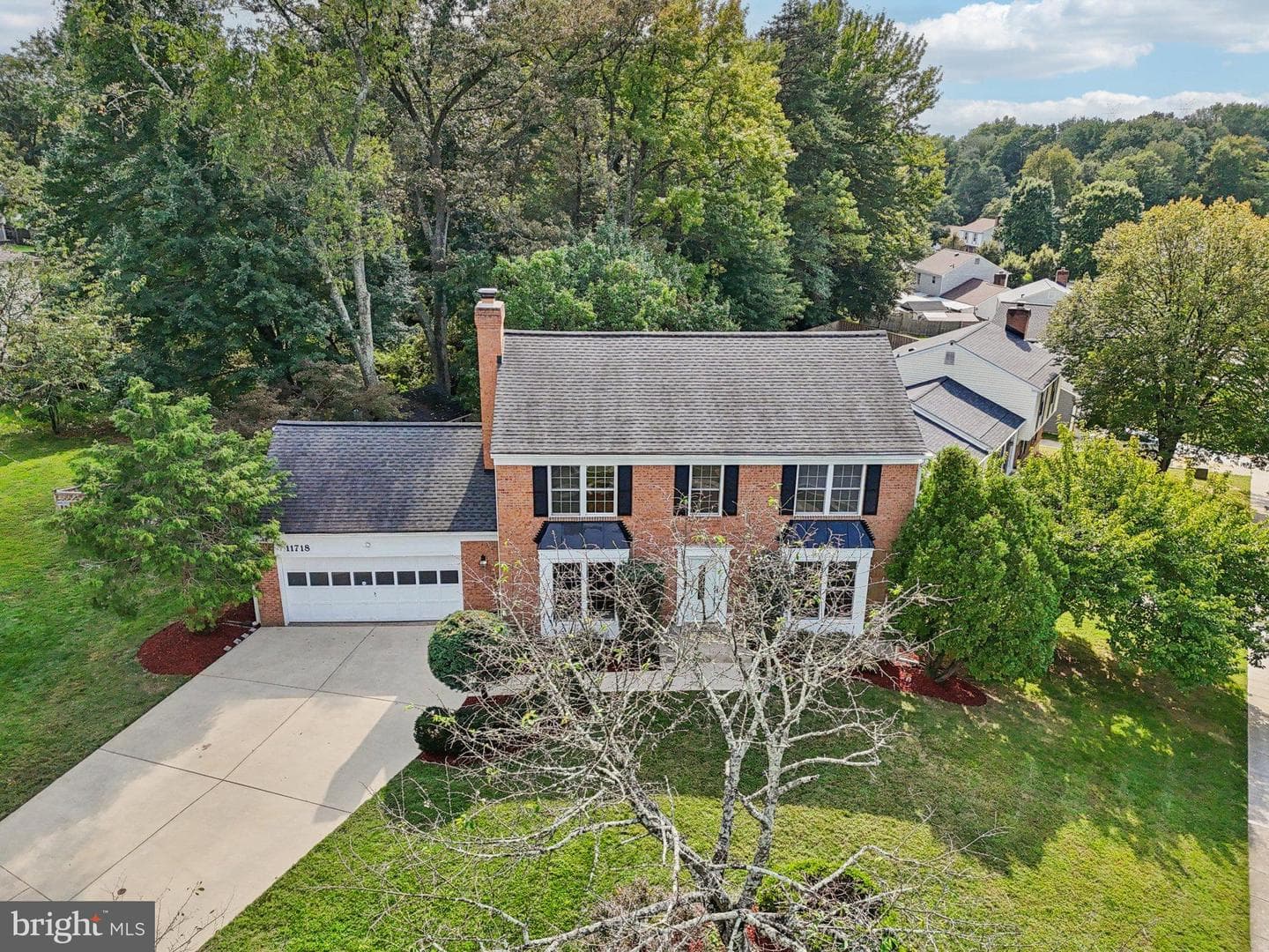 11718 Basswood Drive photo 3